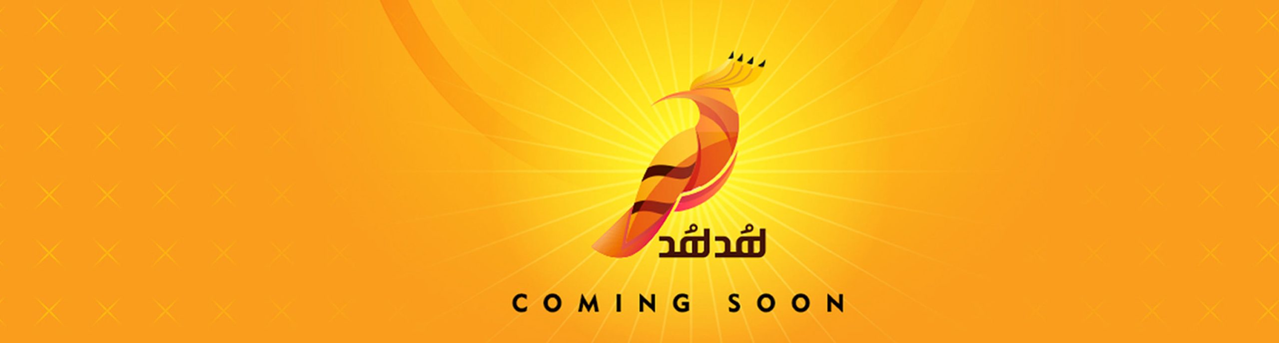 فروشگاه هدهد